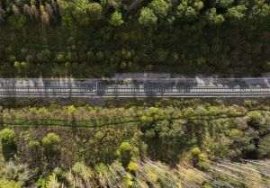 Siemens Mobility a câştigat trei contracte pentru modernizarea infrastructurii de semnalizare feroviară şi centralizare electronică din România